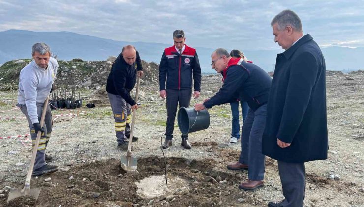 Buharkent’te ’Kaliteli İncir, Kaliteli İlek’ projesi kapsamında fidan dikimi gerçekleştirildi