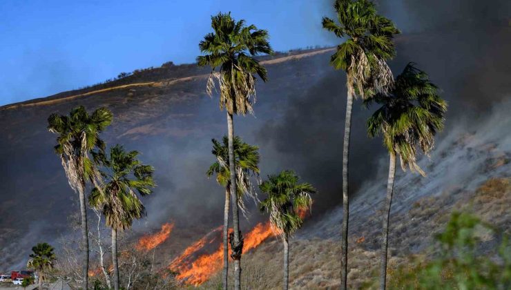 California’da çıkan yeni yangın kontrol altına alındı, 1 kişi gözaltında