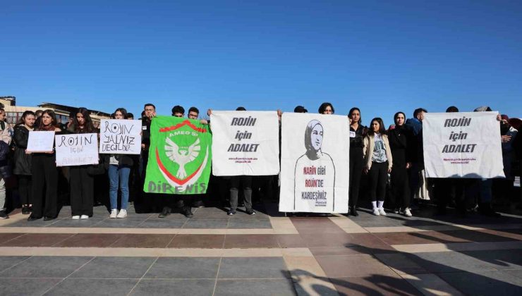 Diyarbakır’da üniversite öğrencileri ve Rojin Kabaiş’in babası “adalet” çağrısında bulundu