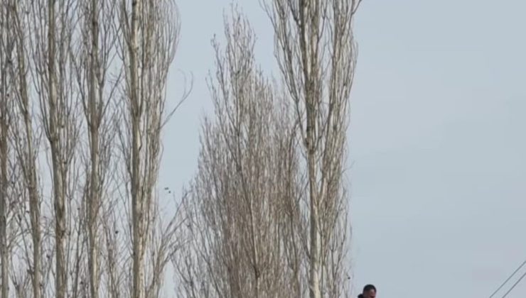 Düğünde uçurulan dron ağaçlara takılınca yardıma itfaiye ekipleri yetişti