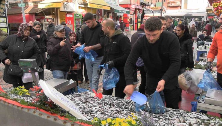 Edirne’de hamsi bolluğu: Kilosu 100 liraya düştü