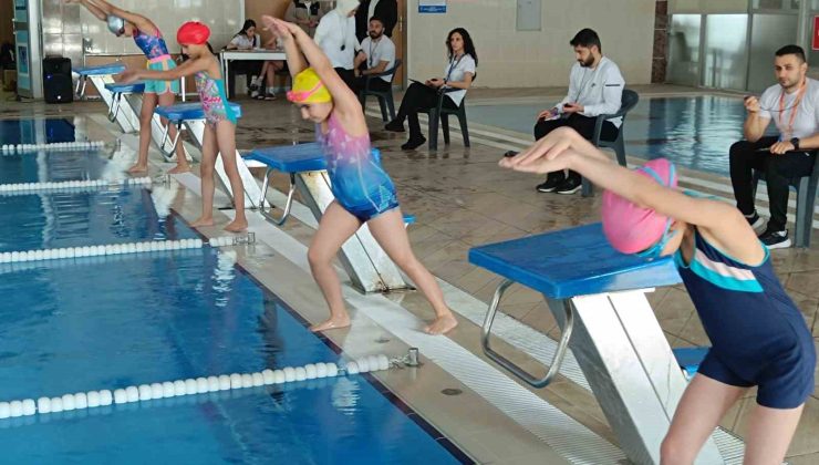 Hakkari’de yüzme şampiyonası finali yapıldı