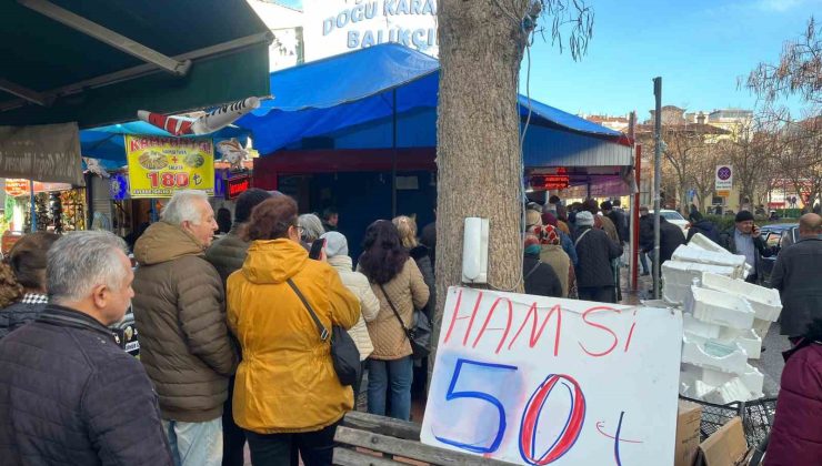 Hamsi rekabetinde fiyat 50 liraya kadar düştü