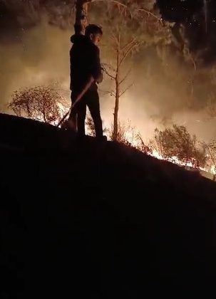 Hatay’da ormanlık alanda çıkan yangın söndürüldü