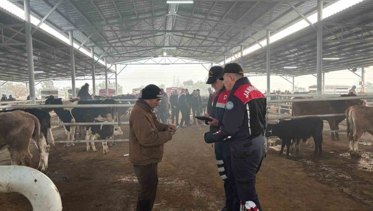 Jandarmadan, hayvan pazarında ’dolandırıcı’ denetimi