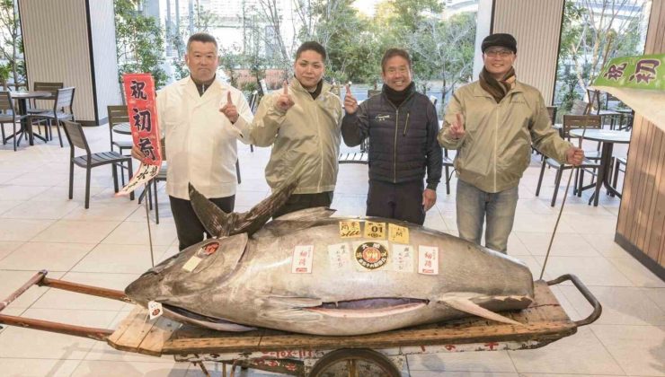 Japonya’daki yeni yıl mezatı: 276 kiloluk mavi yüzgeçli orkinos 1,3 milyon dolara satıldı