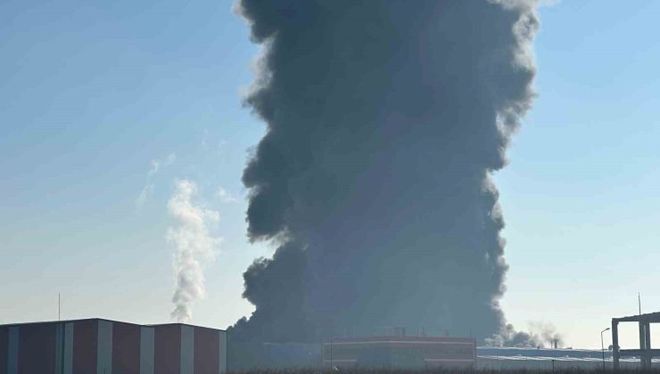 Kırklareli’nde oyuncak fabrikasındaki yangına müdahale sürüyor