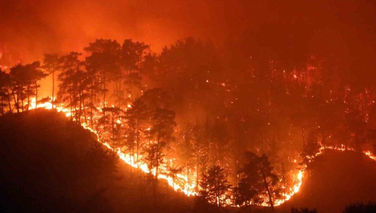 Muğla’da yaz sezonunda günde ortalama 6 yangına müdahale edildi