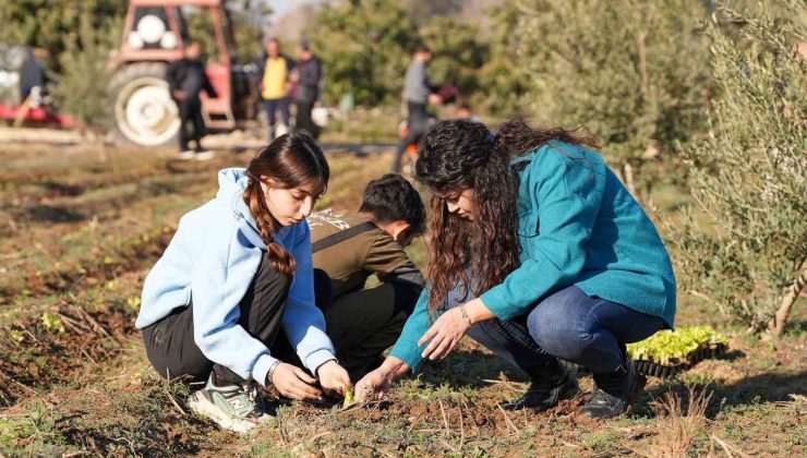 Tarsus’ta 5 bin marul fidesi toprakla buluşturuldu