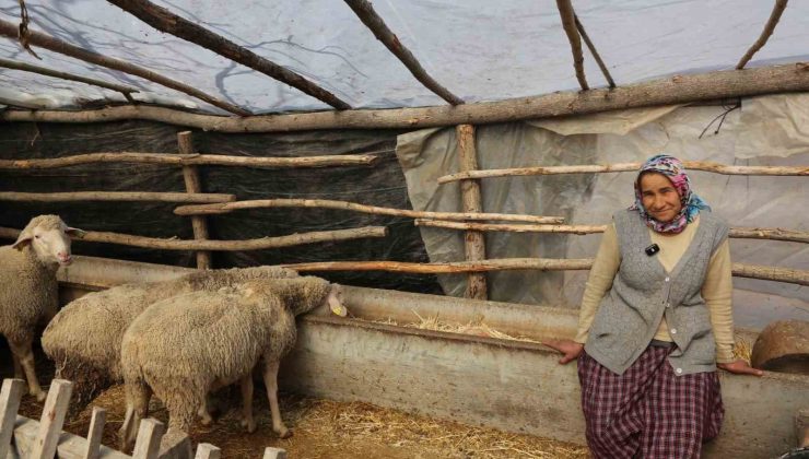 Büyükşehir’in kırsal kalkınma projeleri yüzleri güldürüyor: “Köylü böyle desteklenmeli”
